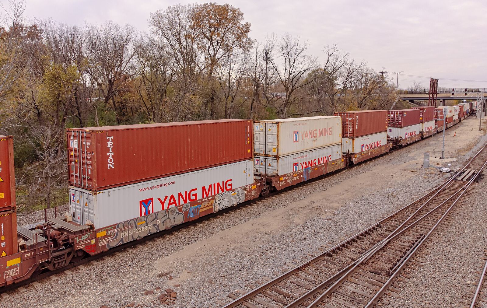 A line of intermodal containers loaded on well cars at a rail yard.